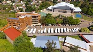 Grados de conocimiento de Platón